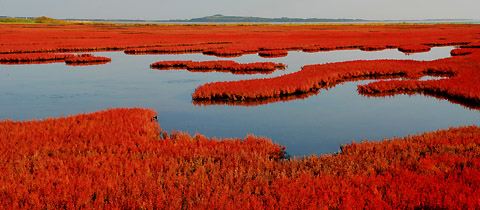 Rozkvetlé jezero Notoro, Hokkaido, Japonsko